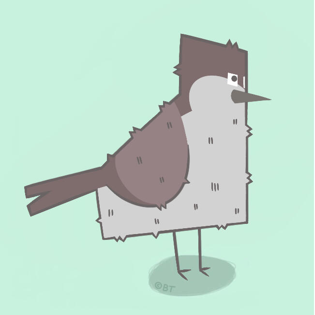 Geometric Bird